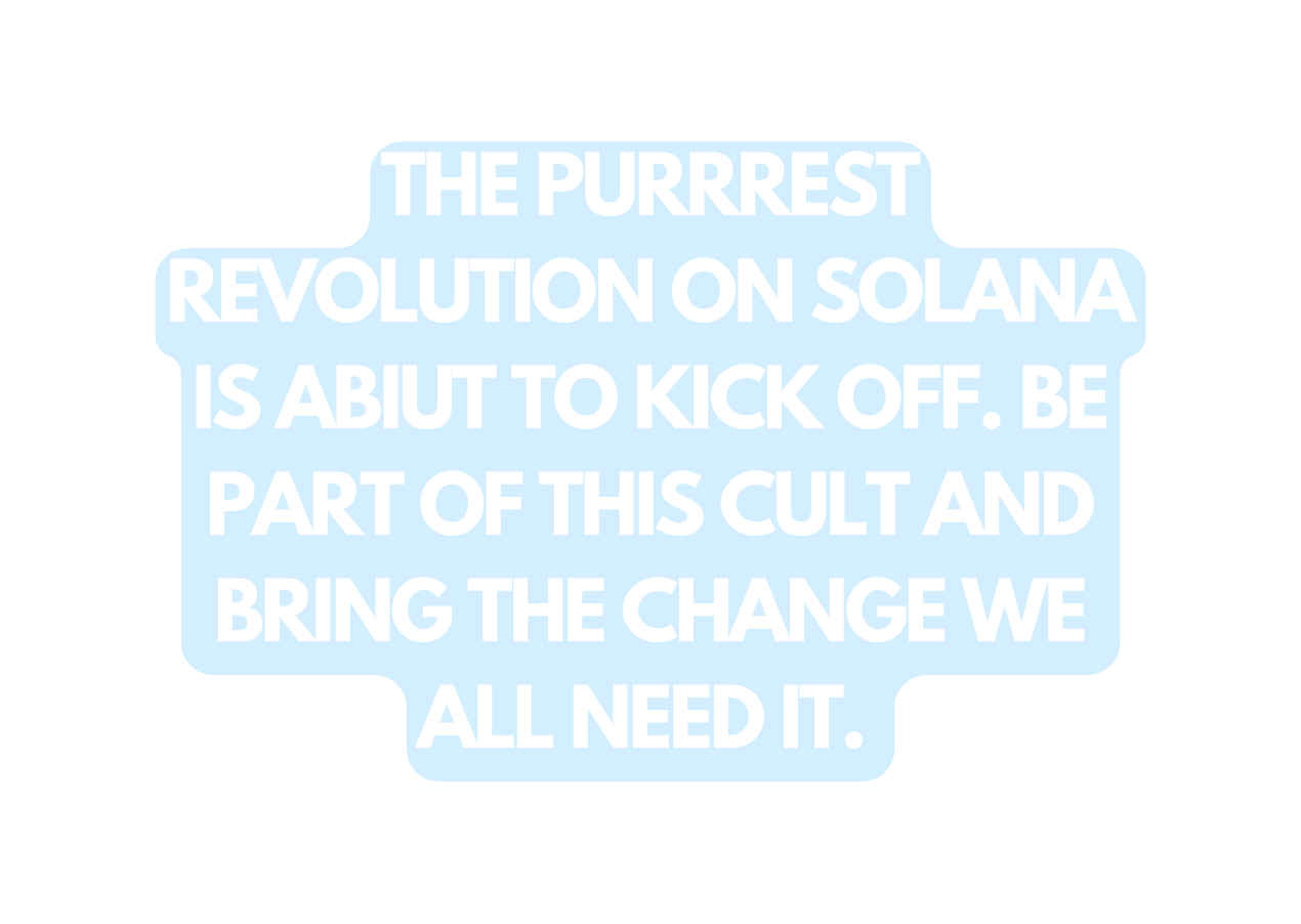 The purrrest revolution on Solana is abiut to kick off Be part of this cult and bring the change we all need it